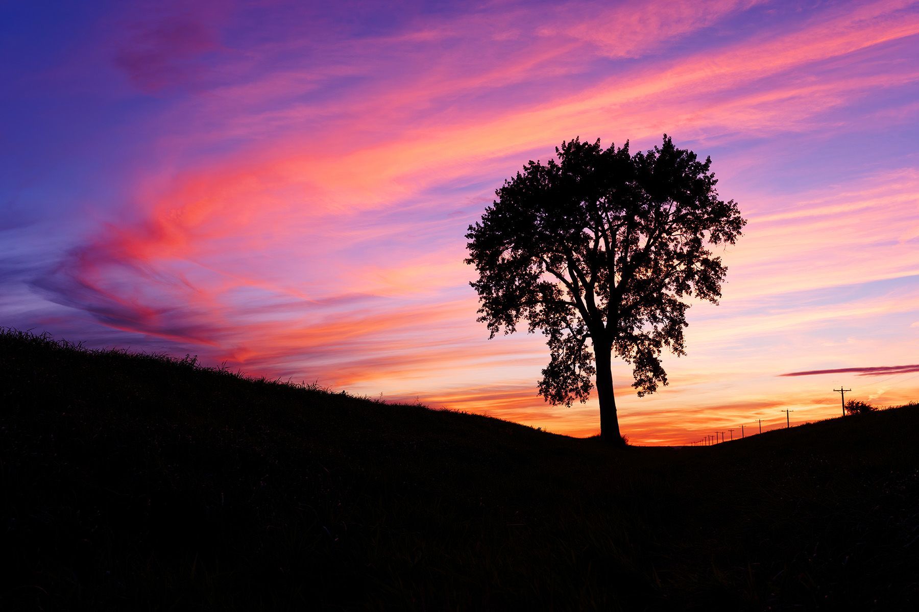 SEE | A Fine Art NFT by Doug Friesen