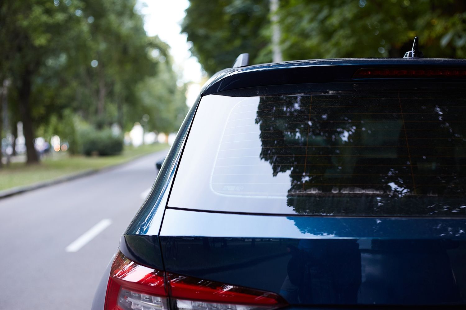 Window Tint