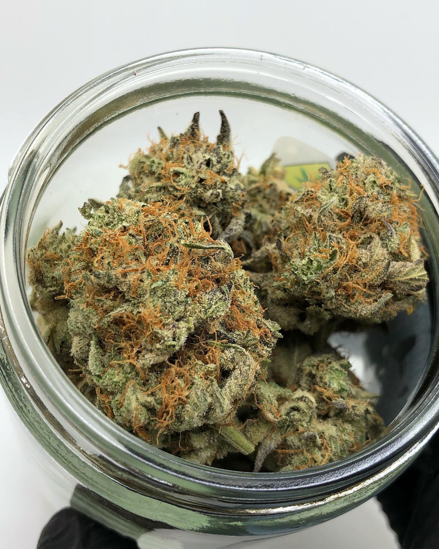 Our Products in Vancouver, WA