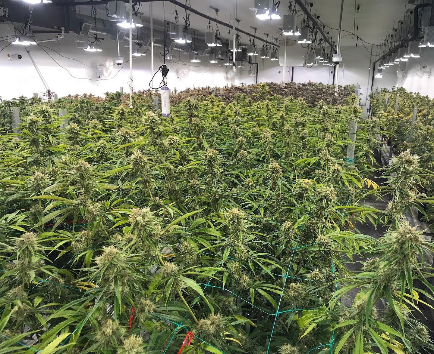 Research and Development in Vancouver, WA