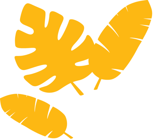 Yellow tropical leaves on white background. Yellow tropical leaves on white background.