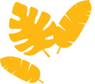 Yellow tropical leaves on white background.