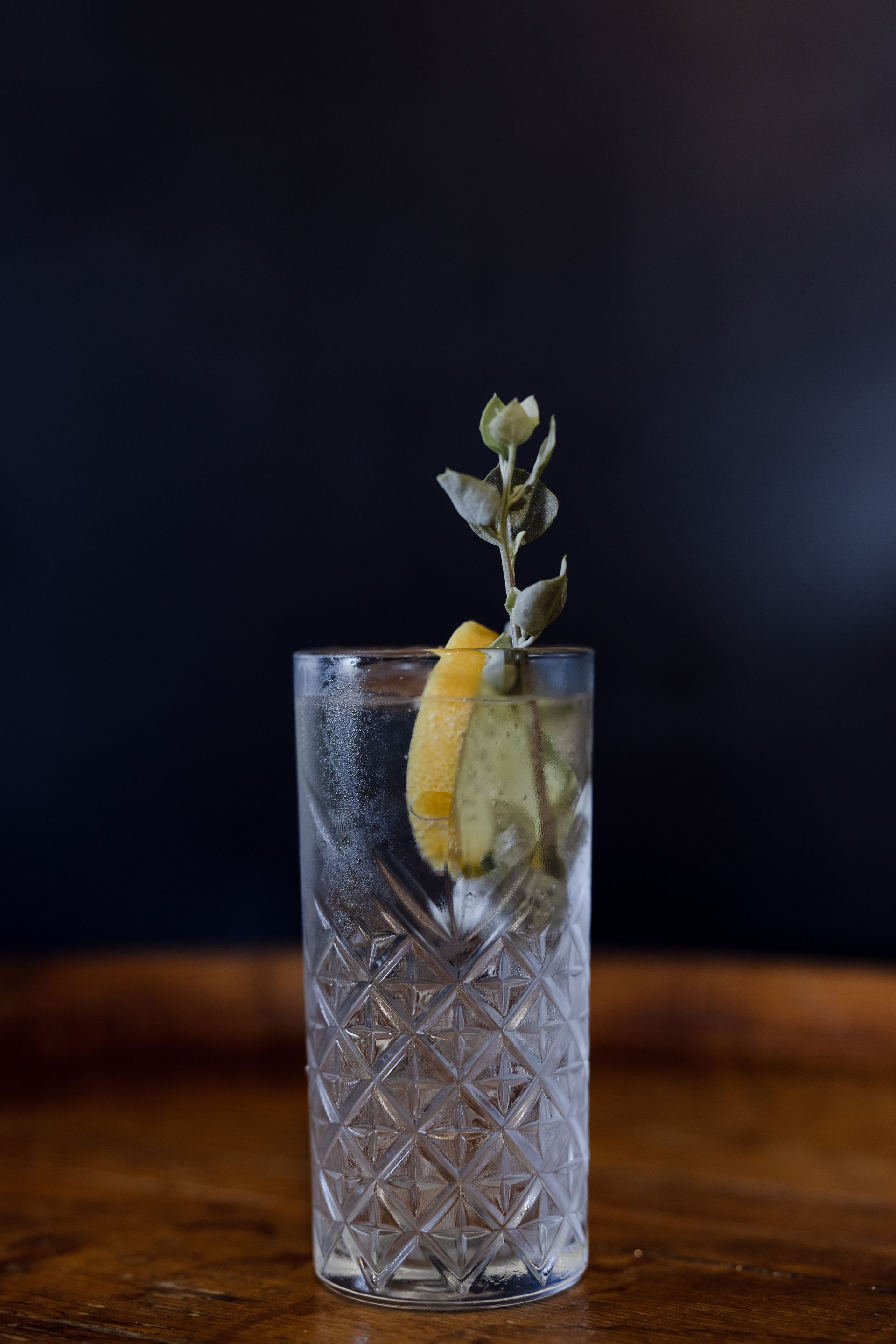 martini cocktail made with Native Dry Gin in a coupe glass with olive