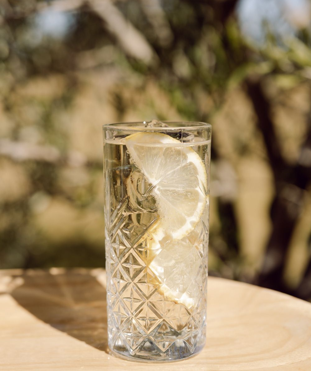 Arid-Aged whisky highball with lemon over ice in a tall glass