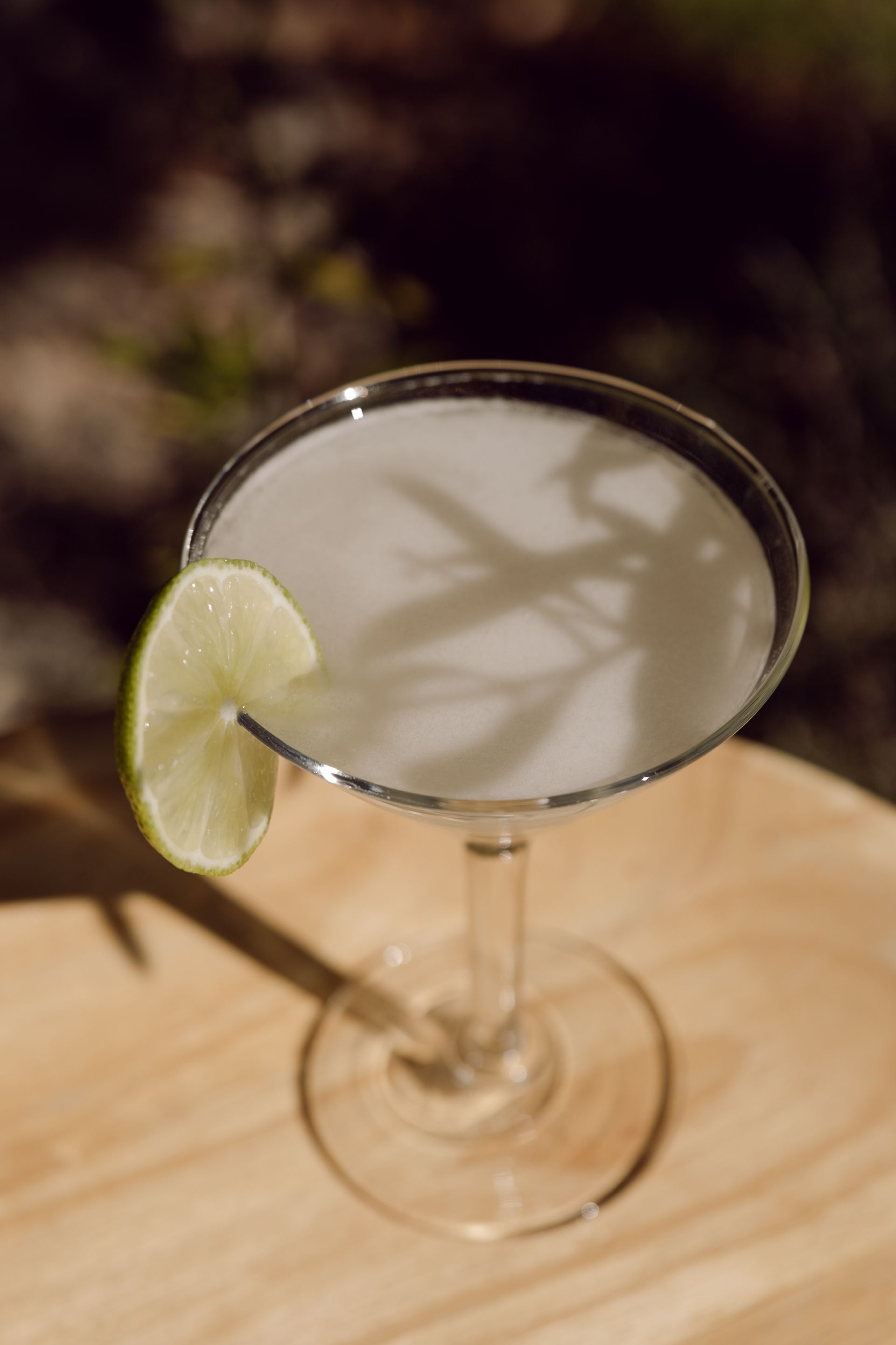 martini cocktail made with Native Dry Gin in a coupe glass with olive