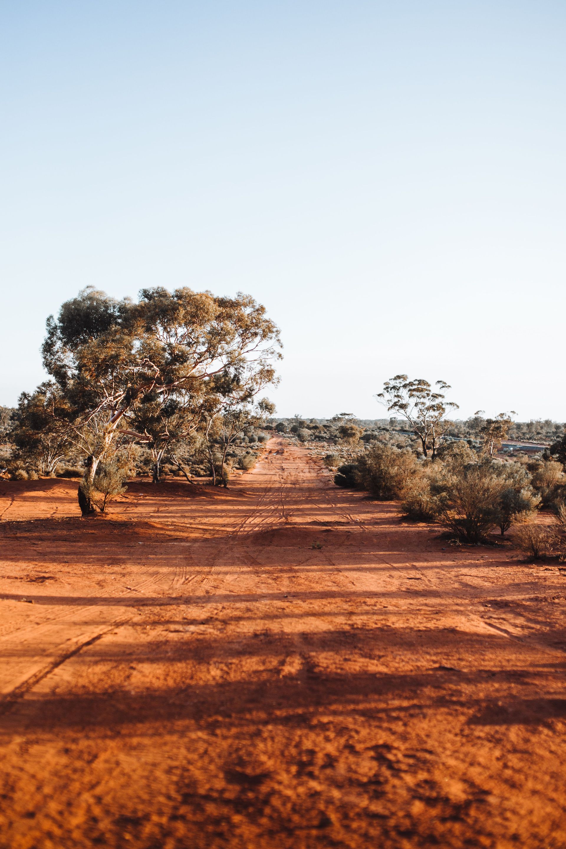 Whisky barrels maturing at The Outback Distilling Co. in Western Queensland.