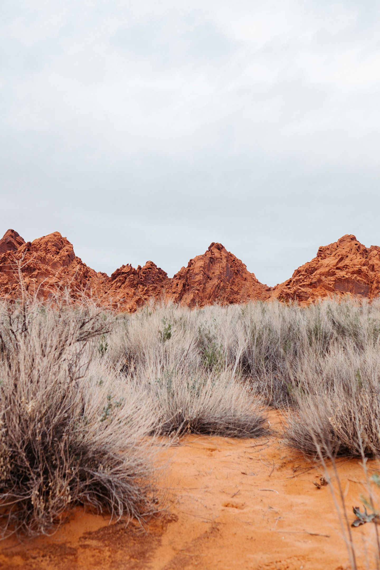 arid red rock landscape and desert grasses representing the Australian Outback environment