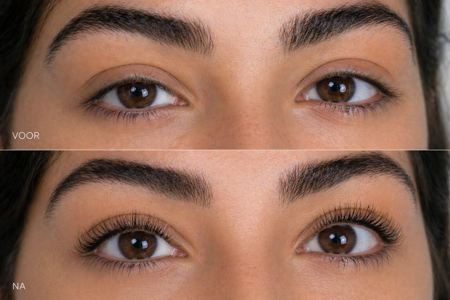 LashLift