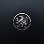Silver lion emblem on a dark background