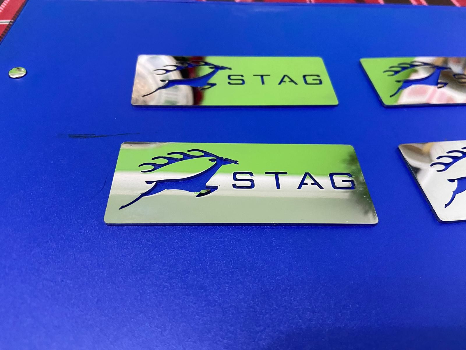 Green STAG logo cards on a blue table, one centered in the foreground.