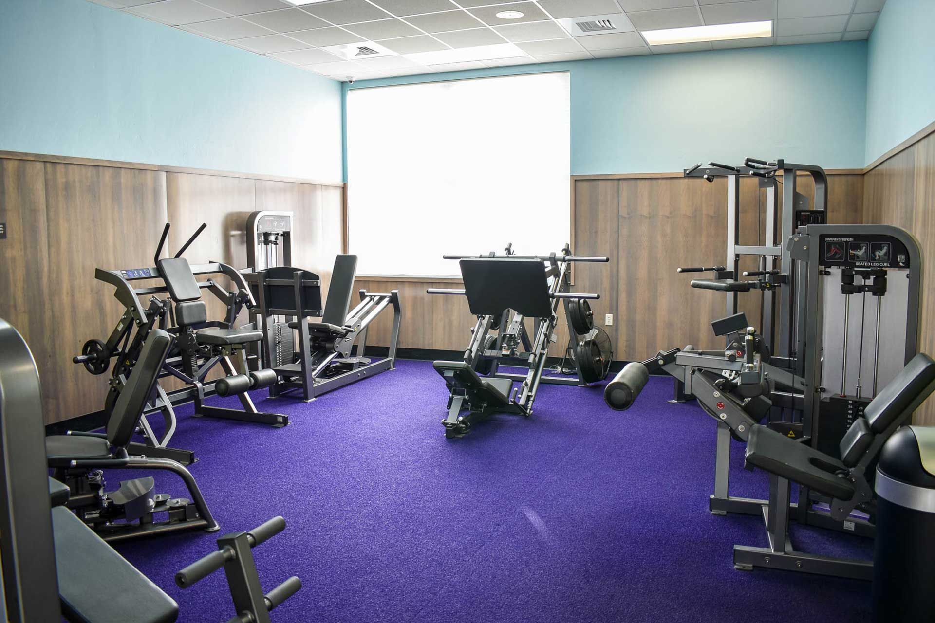 Small gym room with purple carpet, exercise machines, and a bright window.
