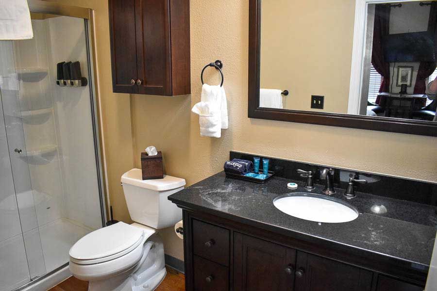 Small bathroom with toilet, glass shower, dark vanity, and sink under a mirror.