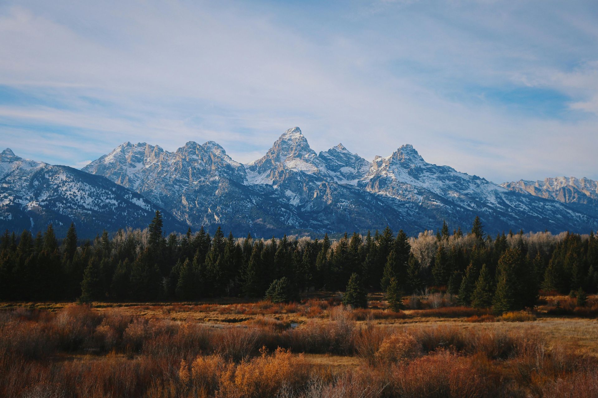 Snowy mountain range above a forest and golden grassland under a cloudy blue sky