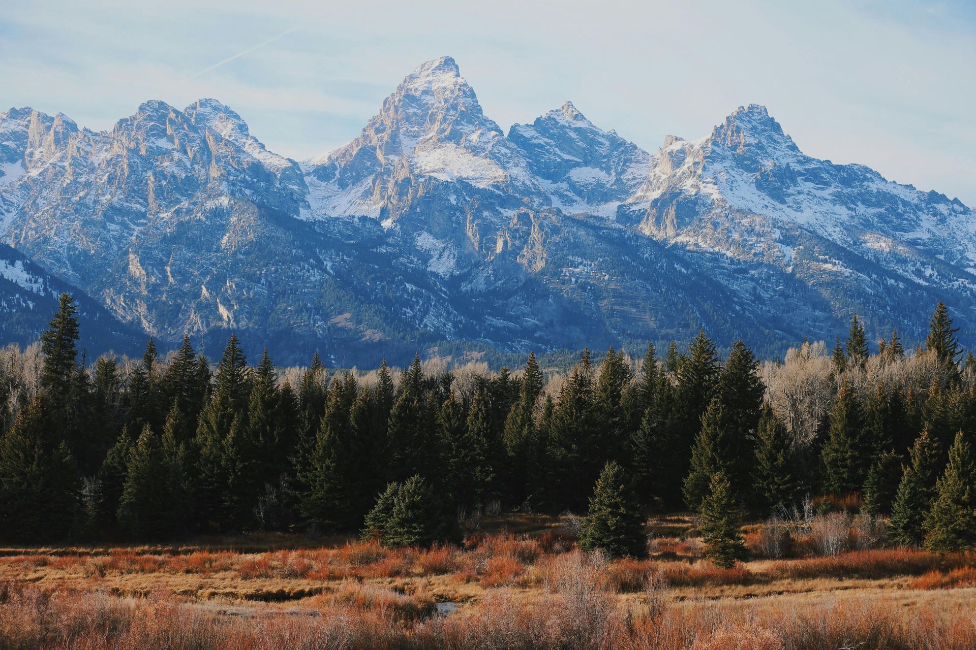 Snowy mountain range above a dense pine forest and autumn meadow under a blue sky