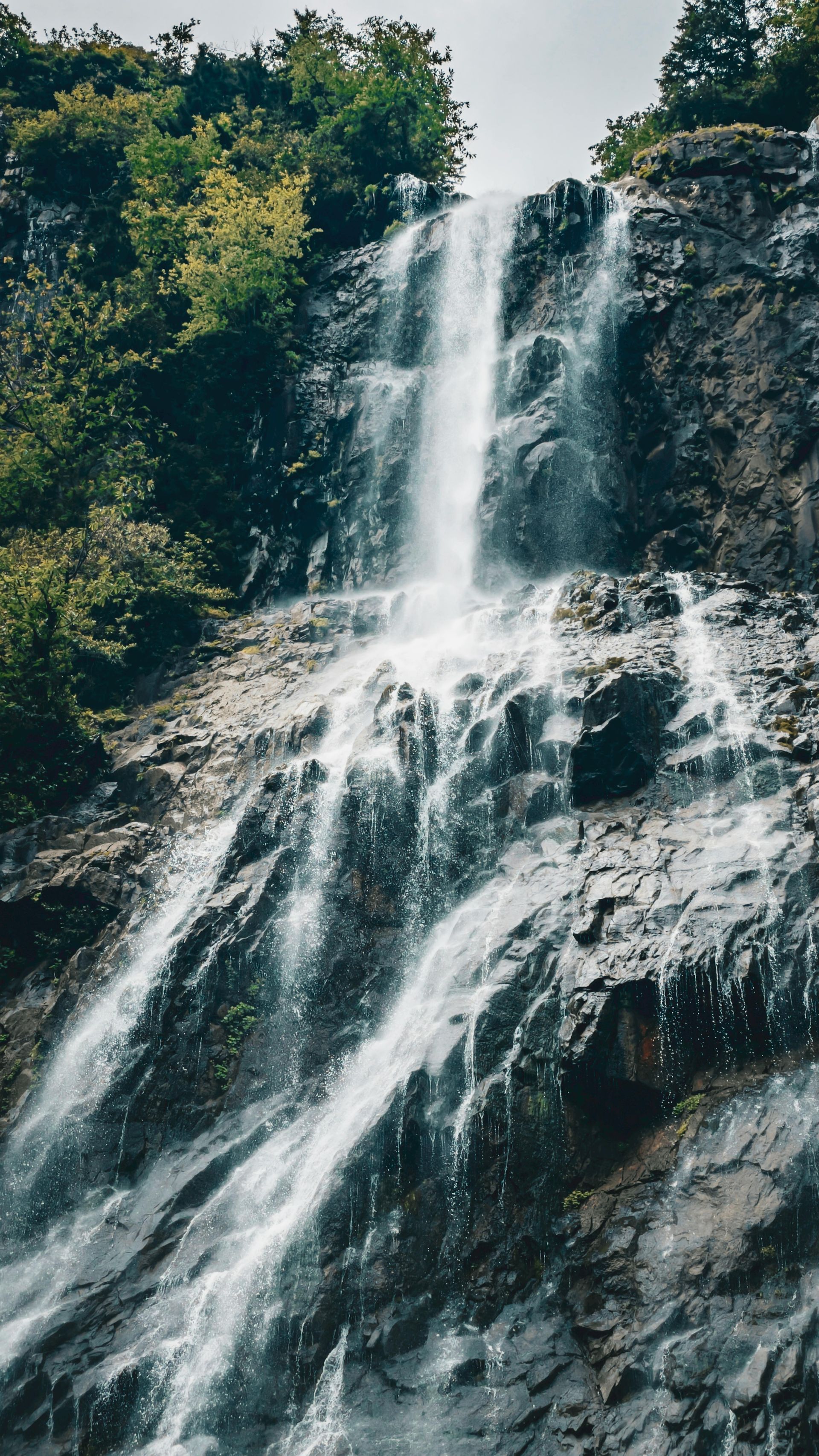 Tall waterfall cascading down a rocky cliff surrounded by dense green forest