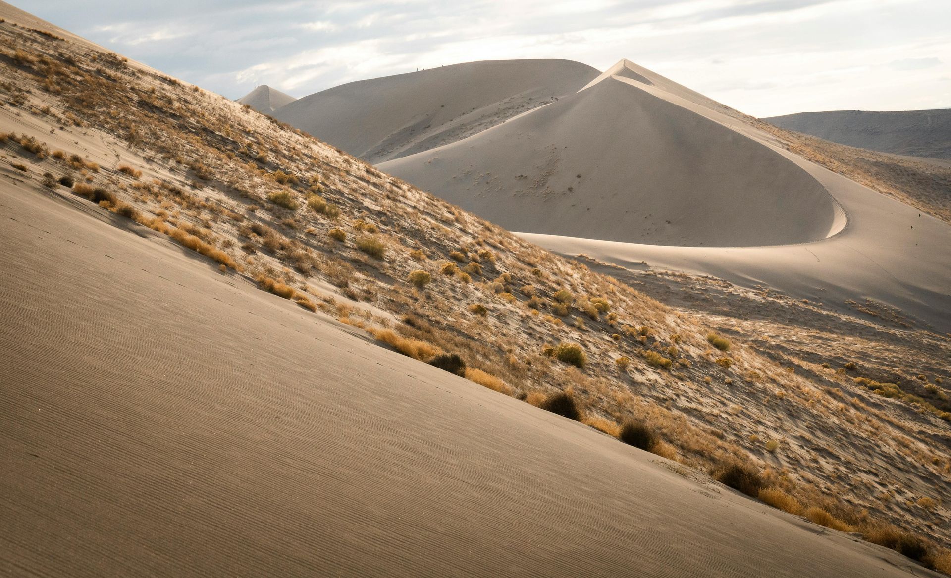 Sunlit sand dunes with sparse shrubs stretching across a barren desert landscape