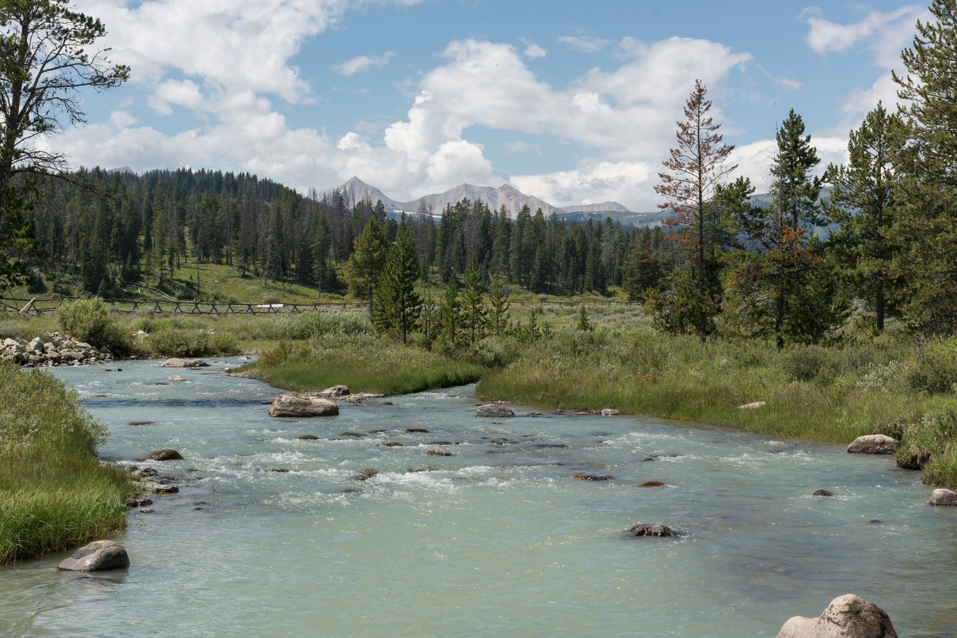 Mountain river flowing through a green forest under a partly cloudy sky
