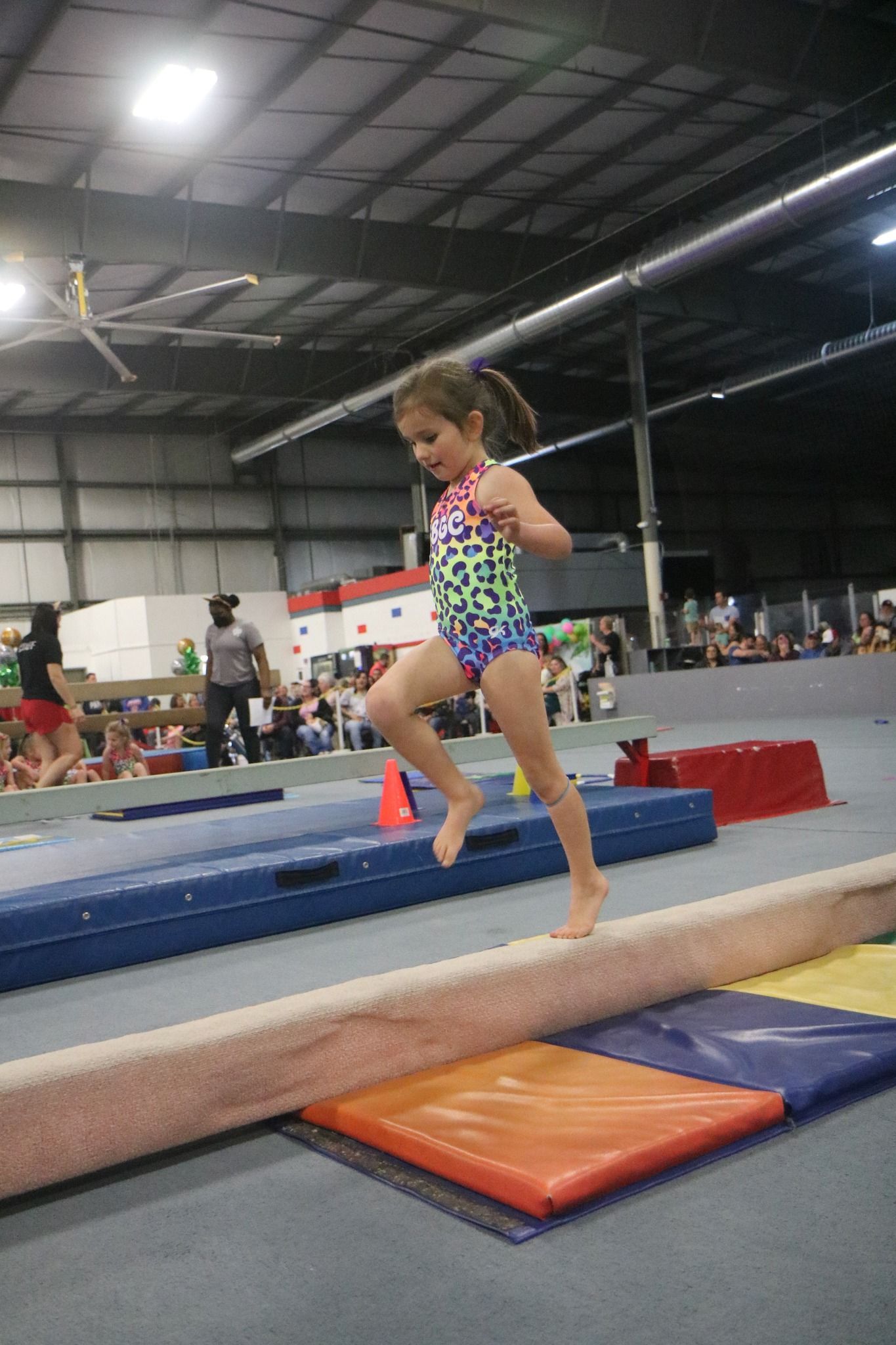 Little Girl Walking on Balance Beam