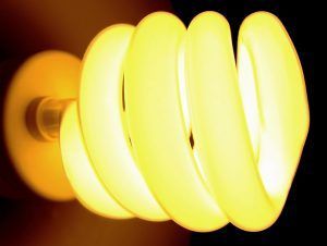 lightbulb