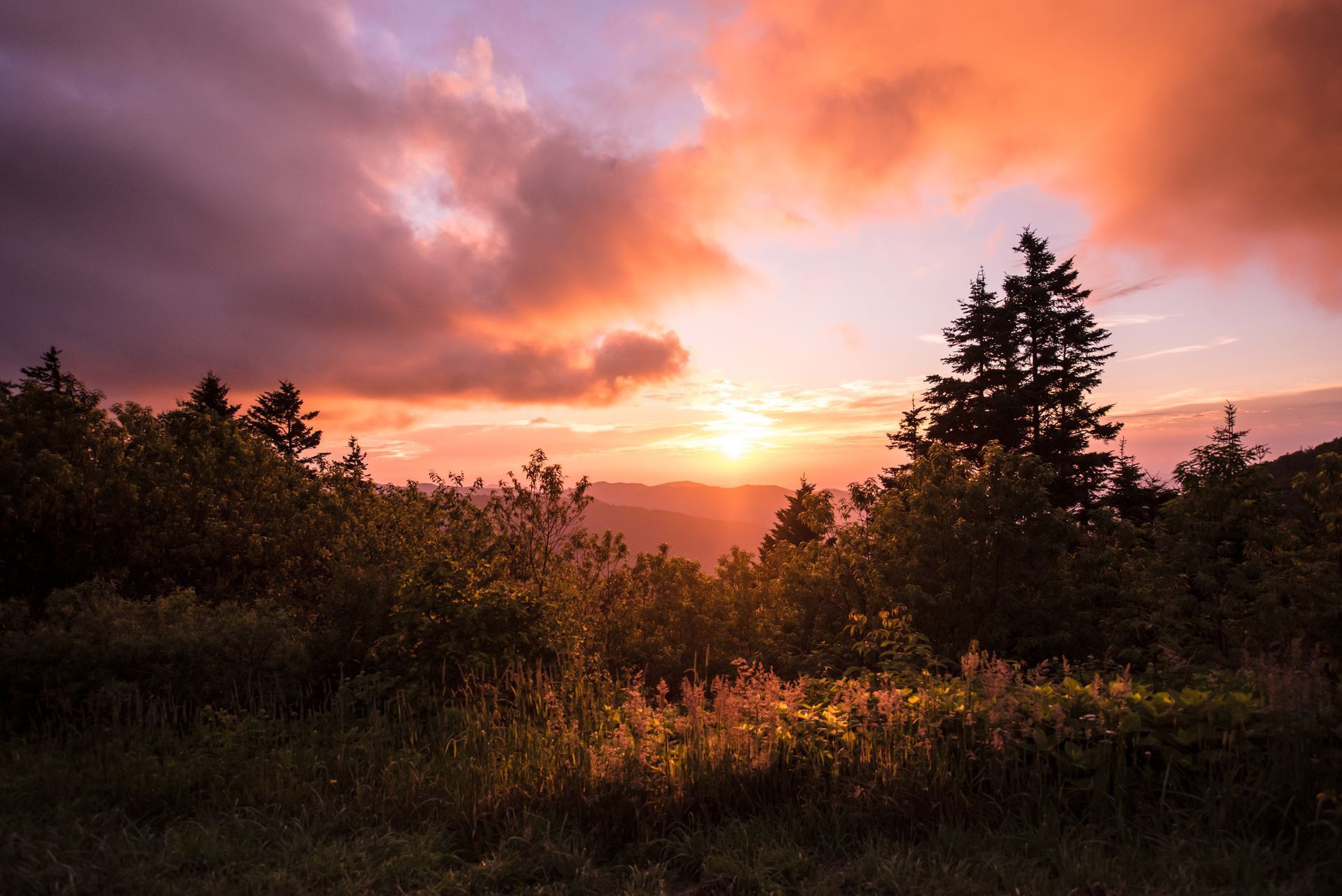 Sunset over a forested hillside with orange-pink clouds and silhouetted trees