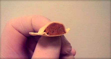 ravioli di carne Fassona