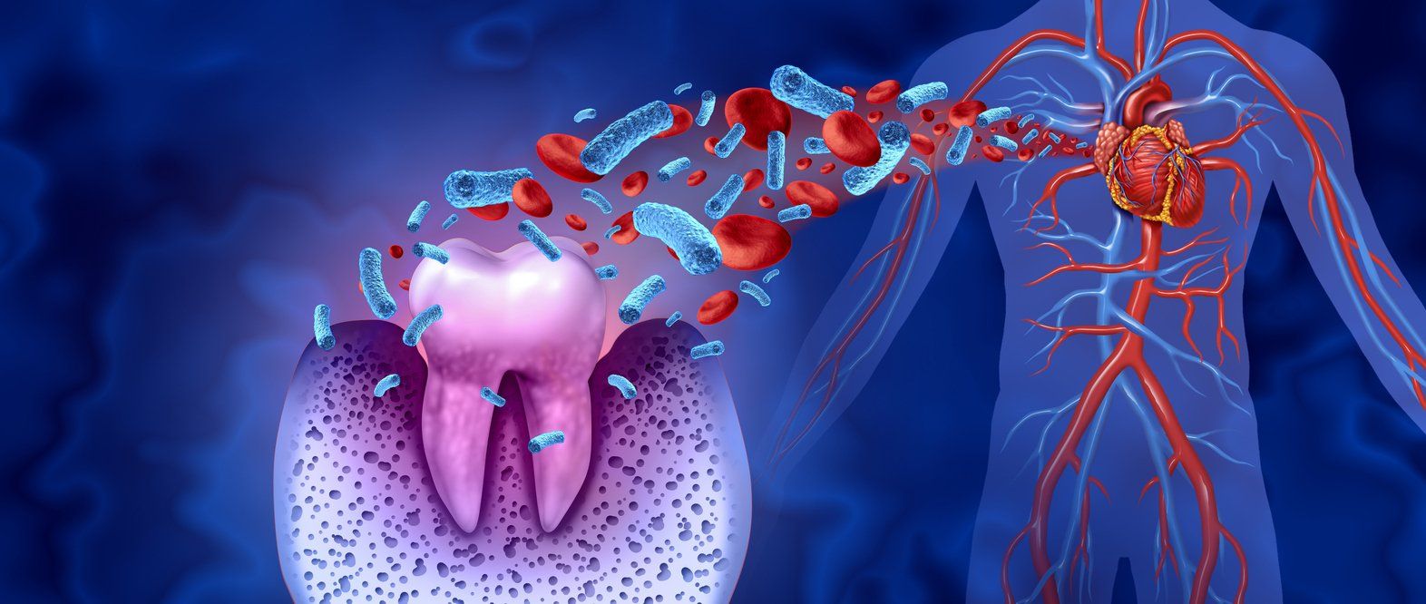 A computer generated image of a tooth and a human heart.