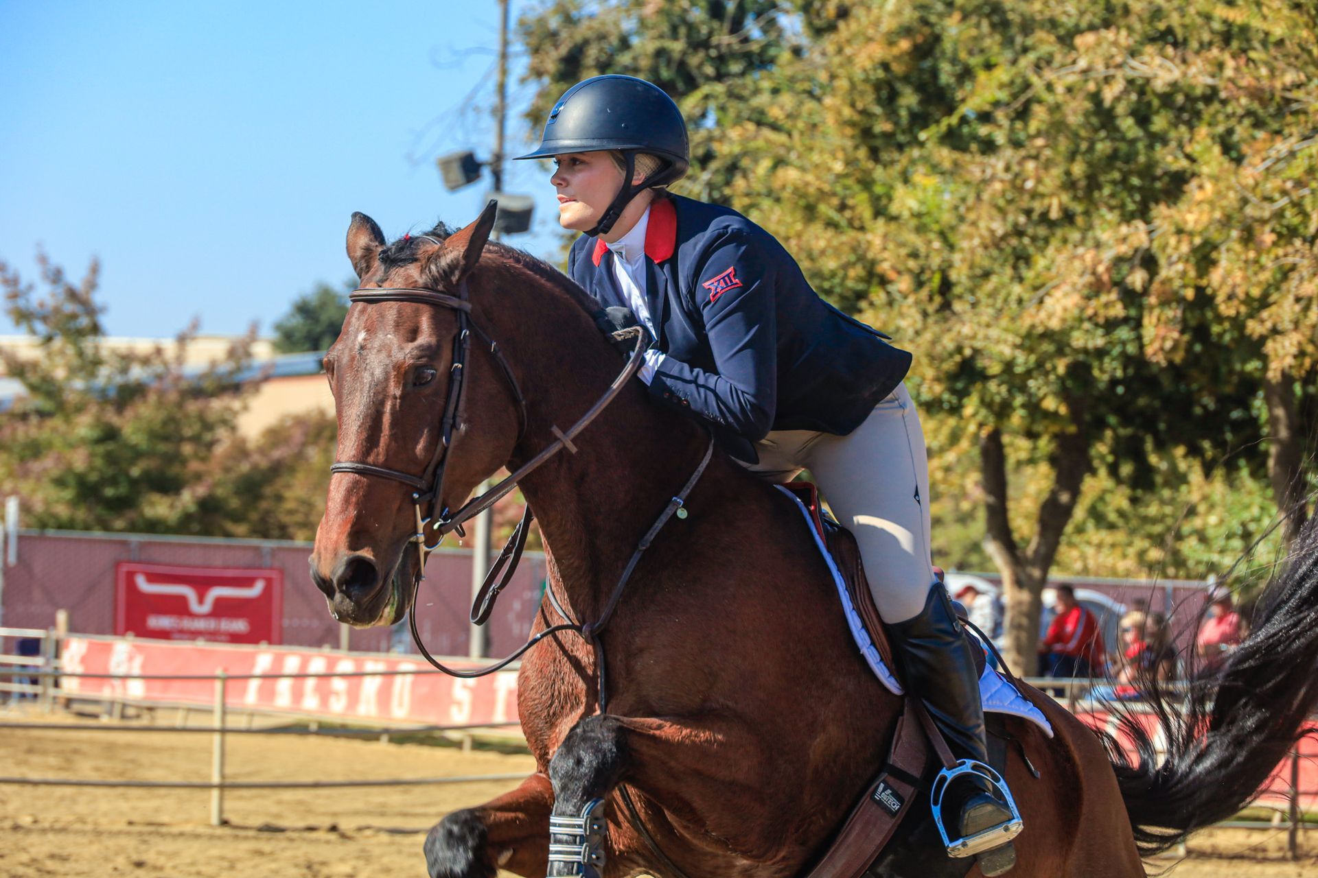 horse jumping