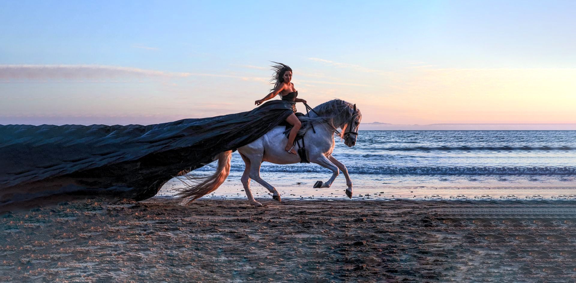 horse on beach at sunset