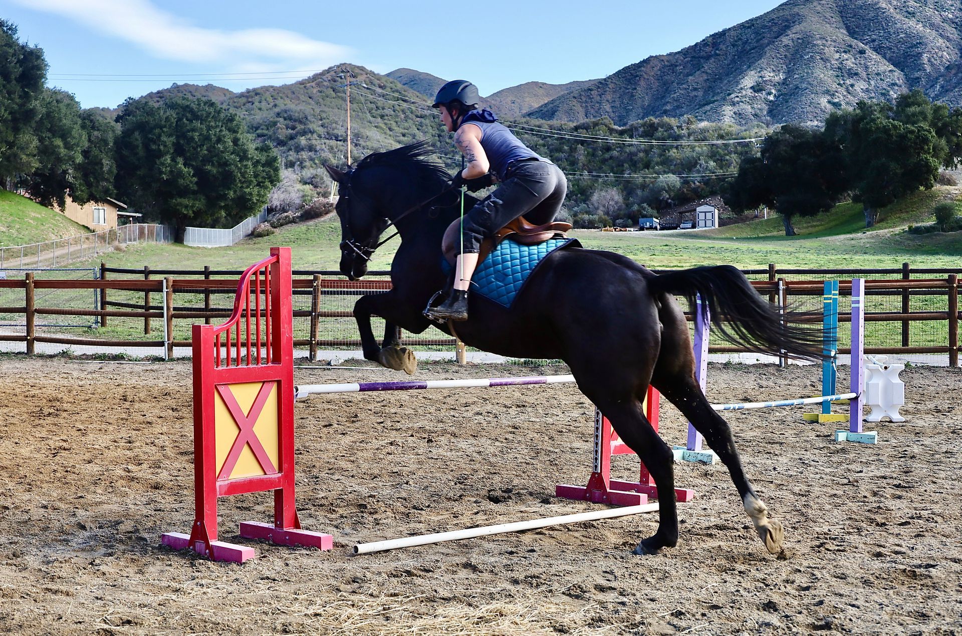 horse jumping photo