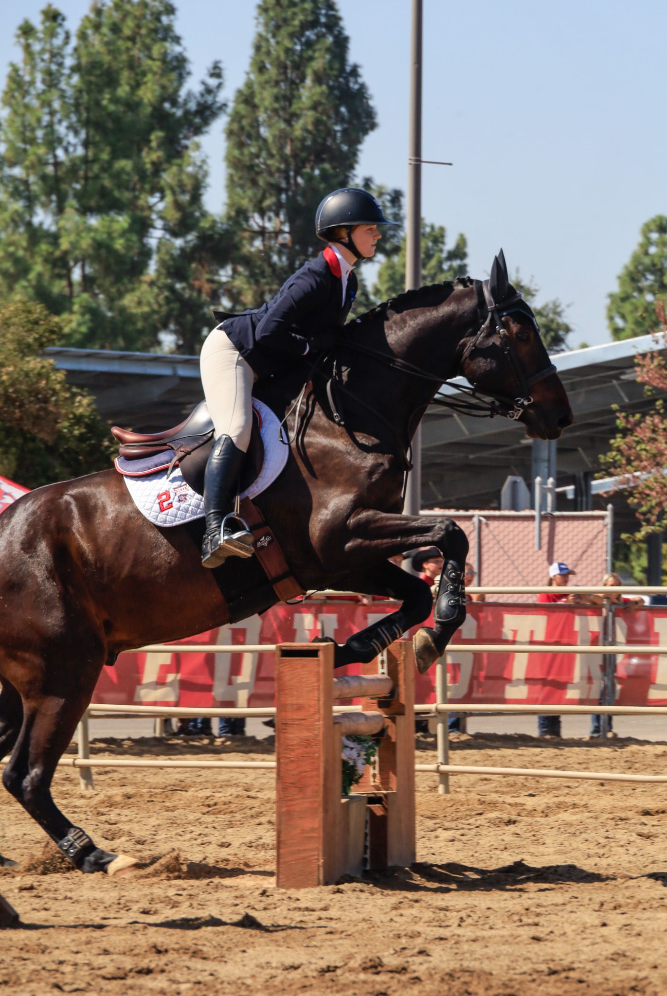horse jumping