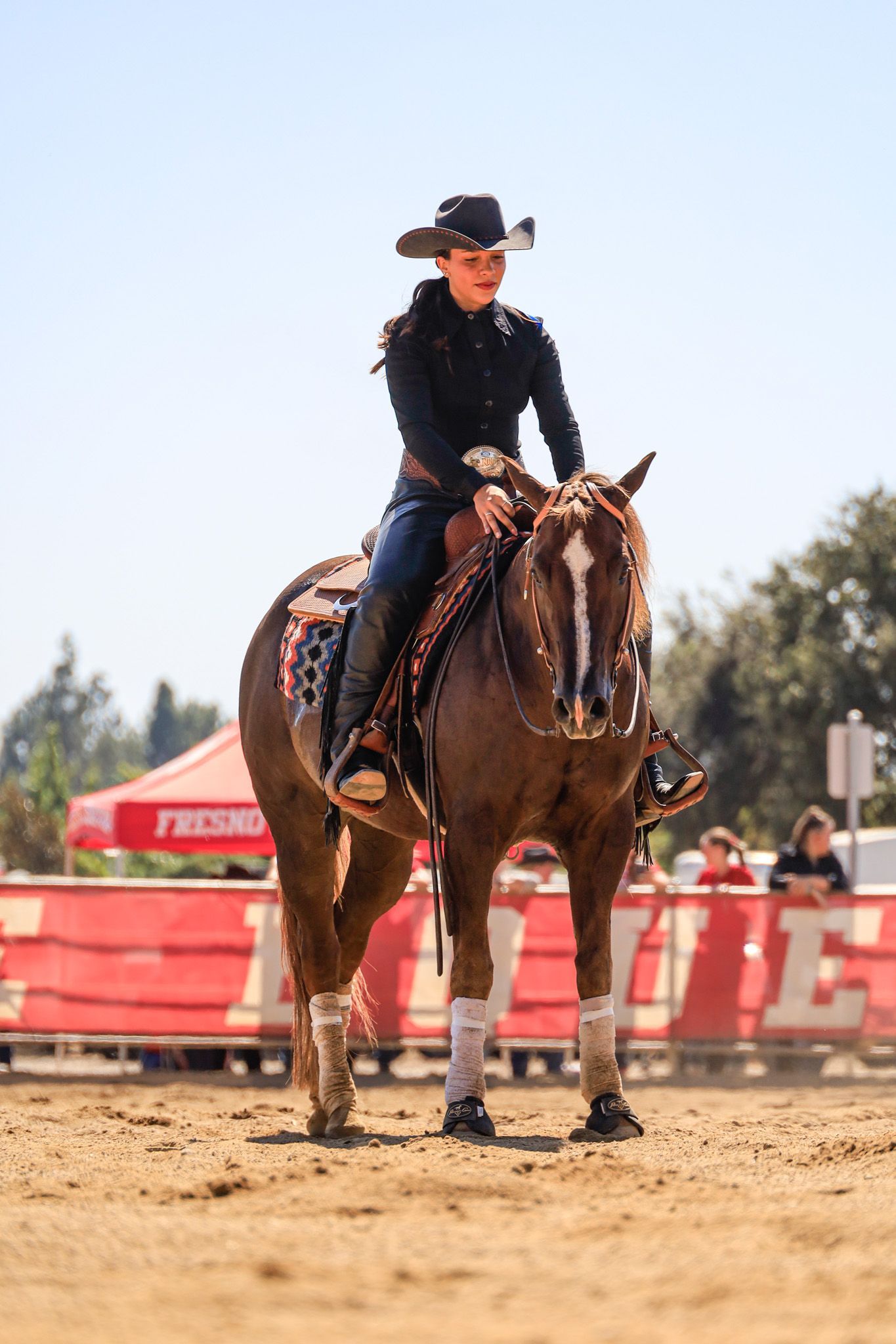 western horse