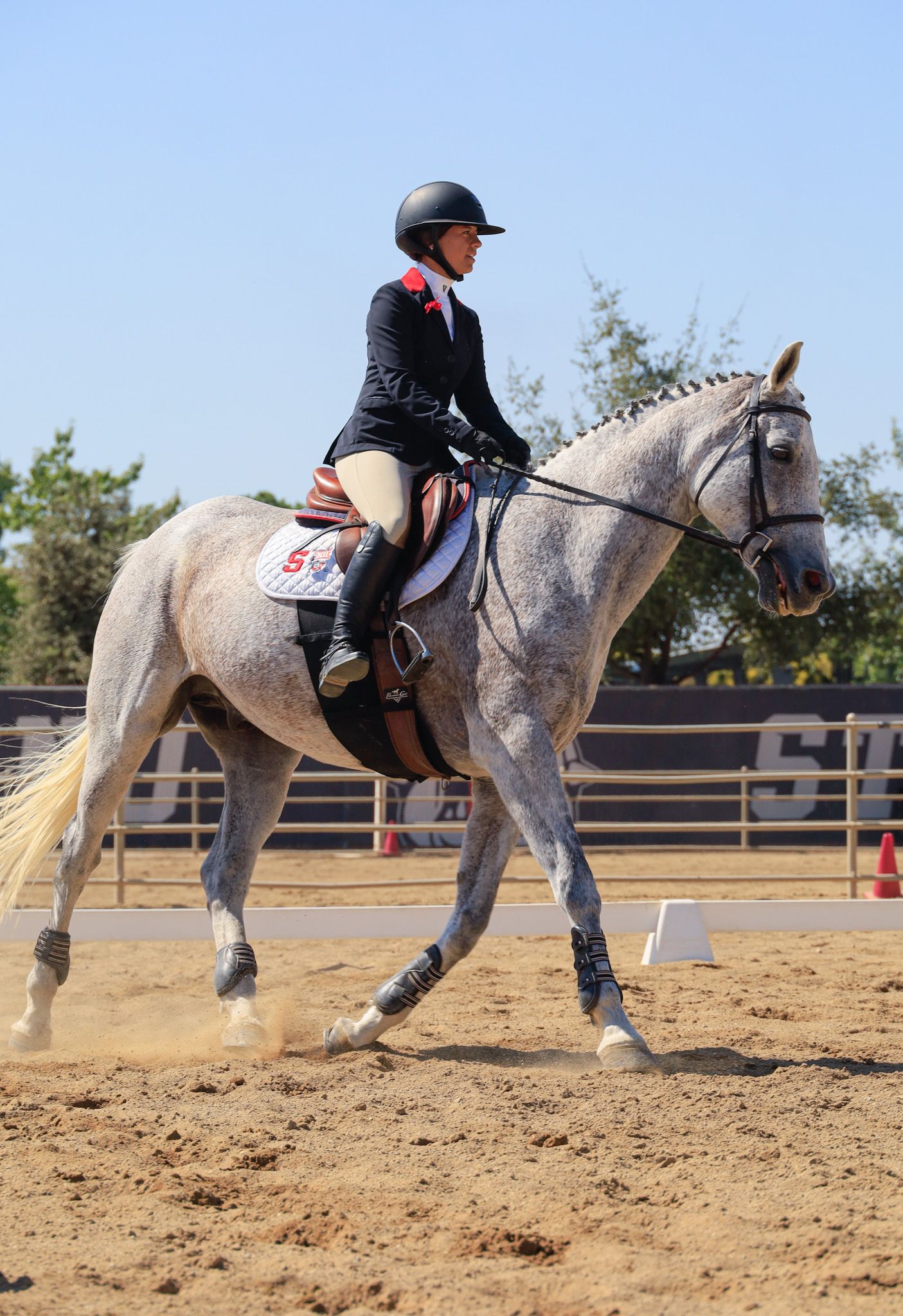horse riding English 