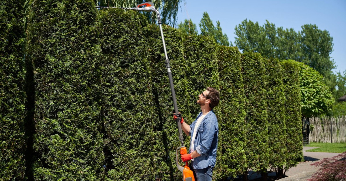 Tree services