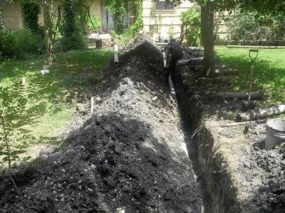 Tree-Service-Spring-Tx-Root-wall-barrier