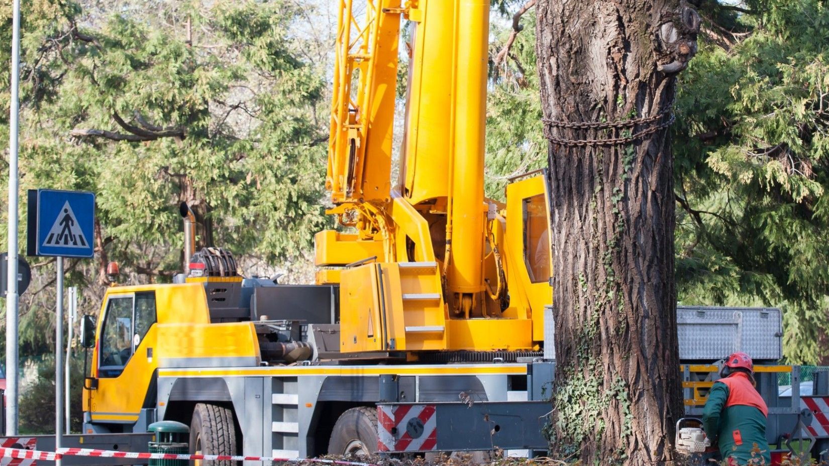 Tree Service Champions TX