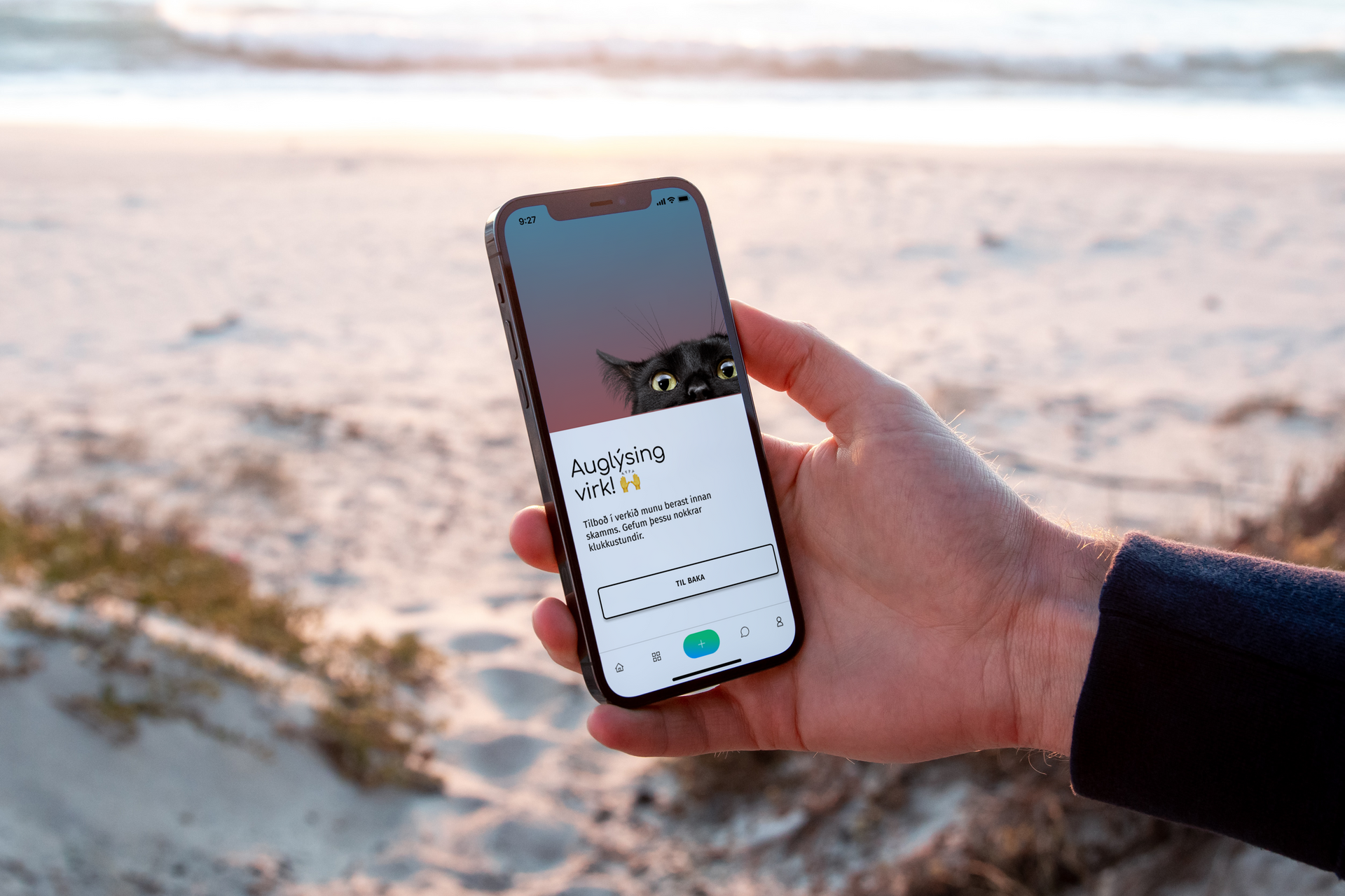 A person is holding a cell phone in their hand on a beach.