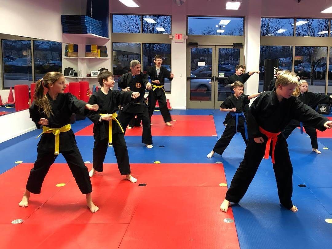 A group of children are practicing martial arts in a gym.