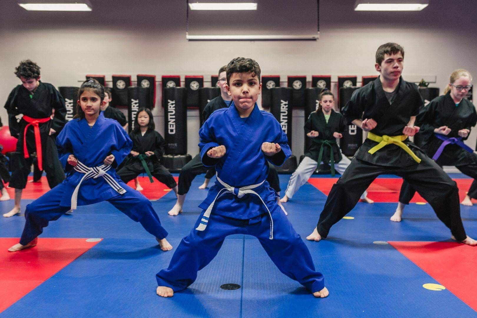 kids martial arts 7-10
