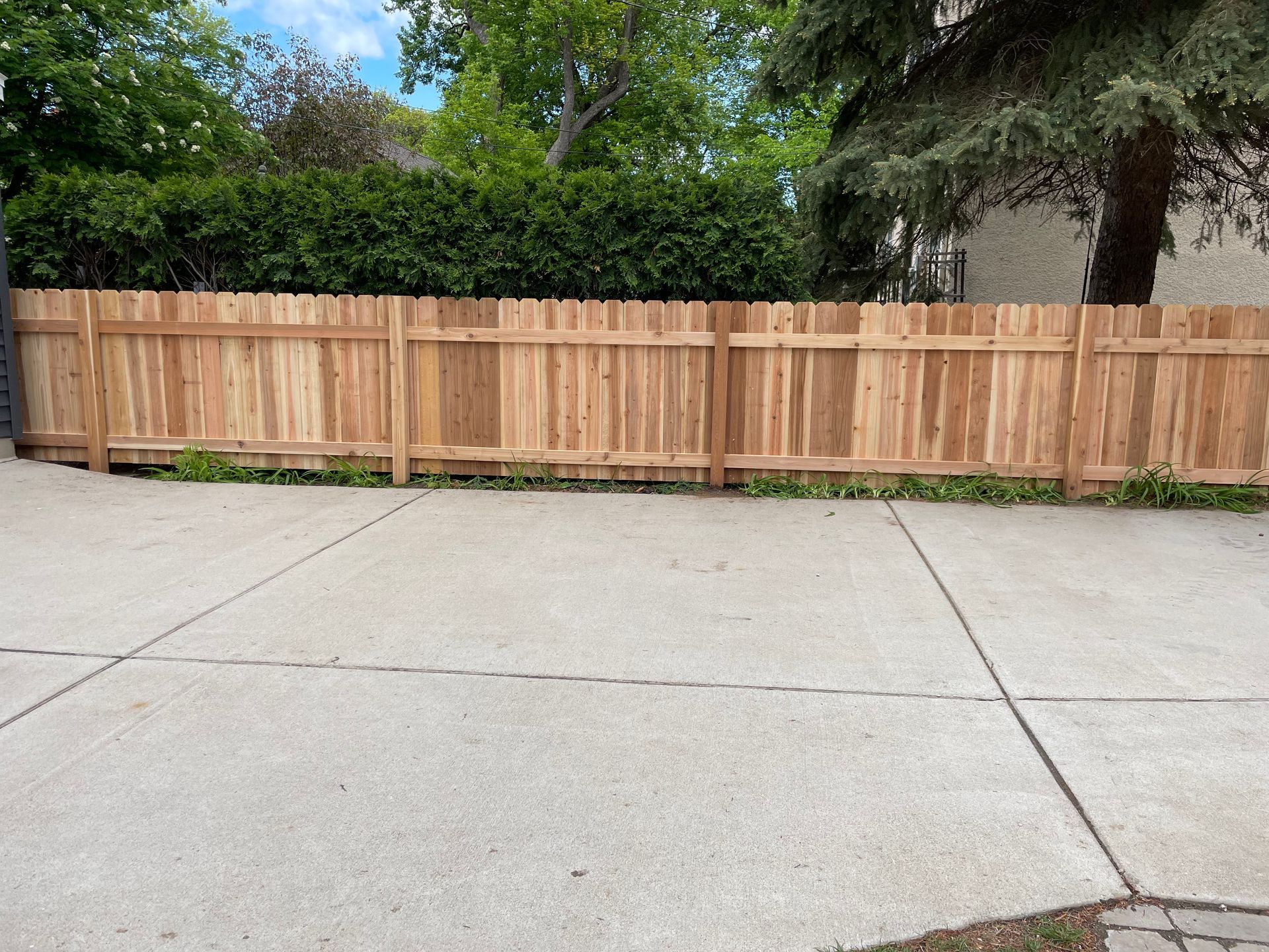 Concrete driveway in front of a wooden fence with green trees and bushes behind it