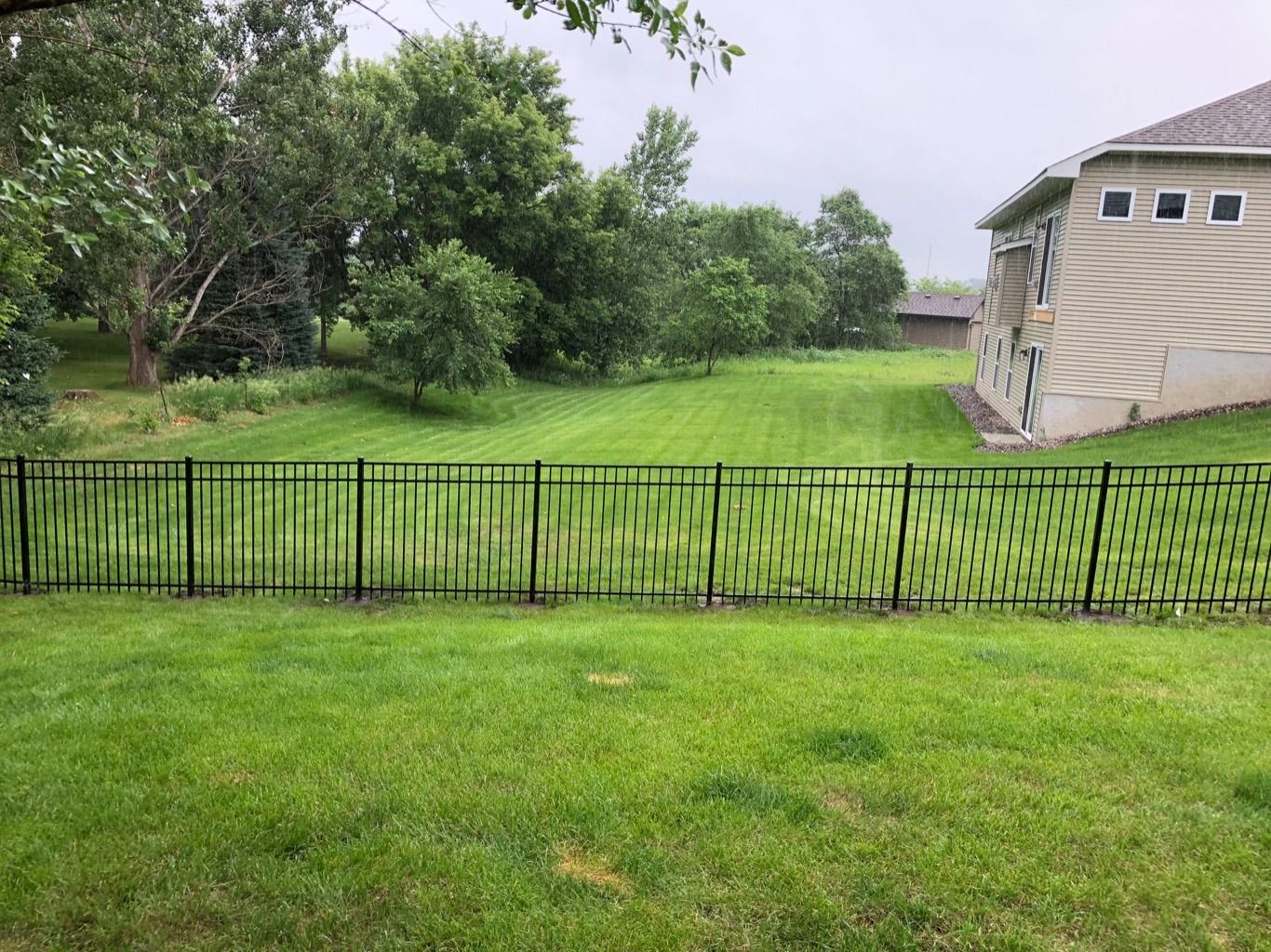 Black metal fence in a grassy yard with trees and a beige house on the right after rain