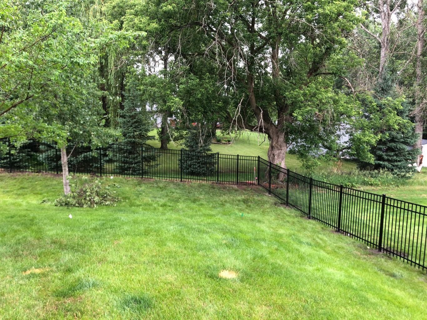 Grassy backyard with trees and a black metal fence along the right side