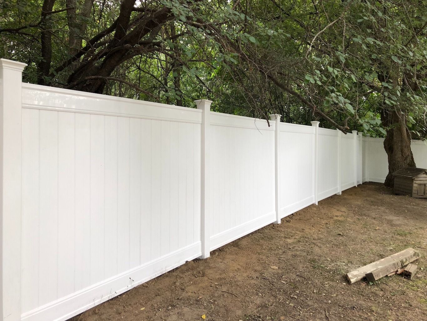 White vinyl fence along a dirt yard beneath leafy trees