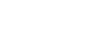 logo-image