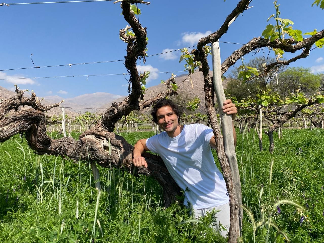 A man is leaning against a tree in a field.