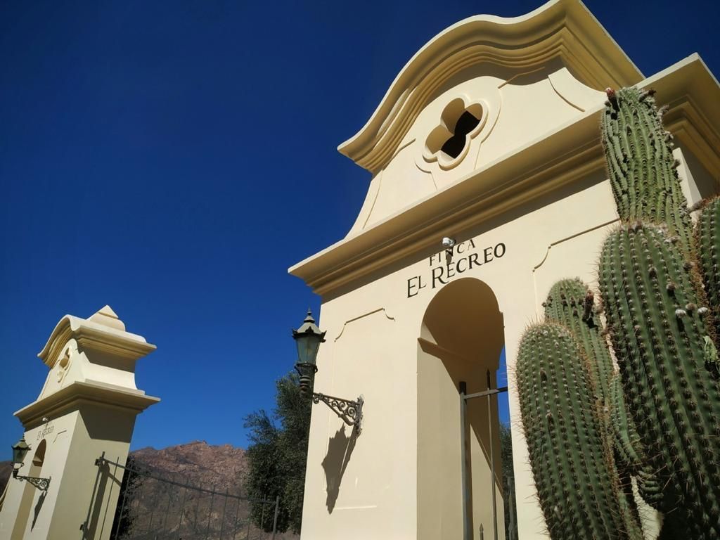 A cactus is in front of a building that says el recreo