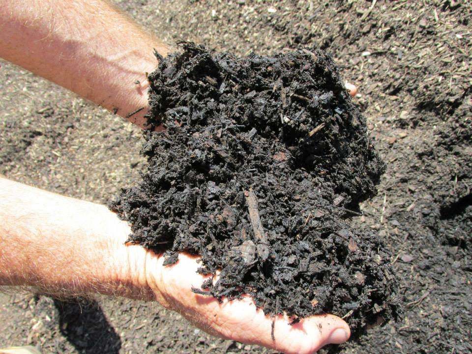 A Person is Holding a Pile of Dirt in Their Hands — Highfields Landscape Supplies In Toowoomba, QLD