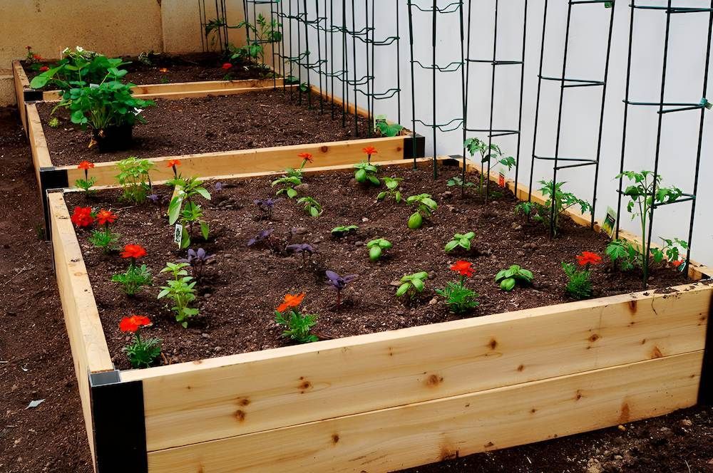 A Wooden Raised Garden Bed Filled With Plants and Flowers — Highfields Landscape Supplies In Meringandan, QLD