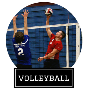 Volleyball players at the net, one in blue and one in red, reaching for the ball with “VOLLEYBALL” text below
