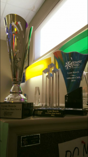Trophy shelf with several awards, including a large silver cup and colorful trophies near a window.
