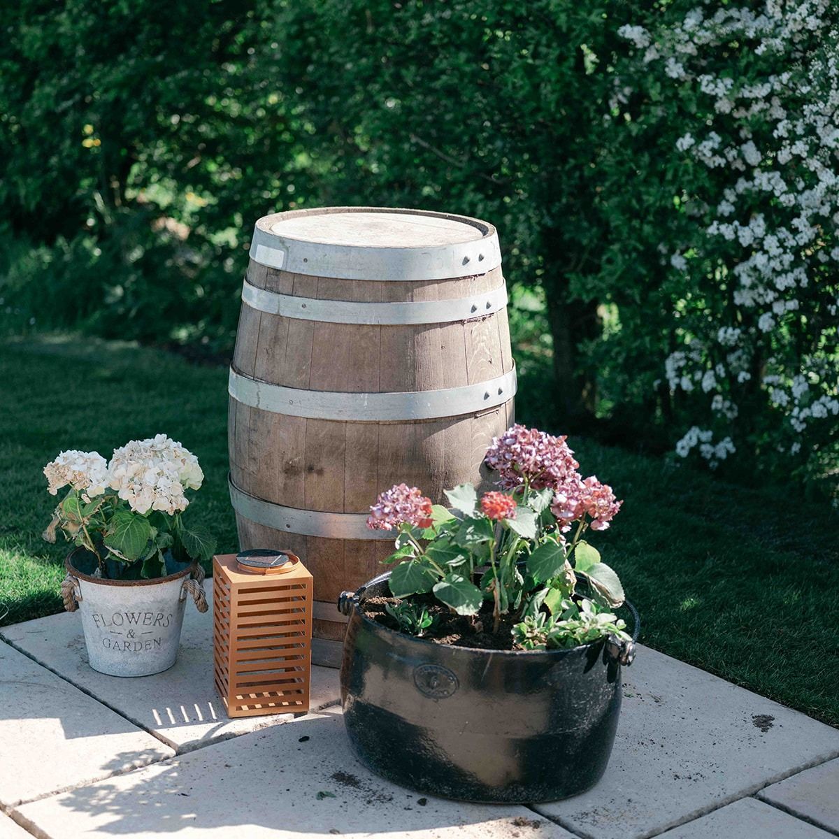 Wooden barrel beside potted hydrangeas on a sunlit patio, with greenery in the background